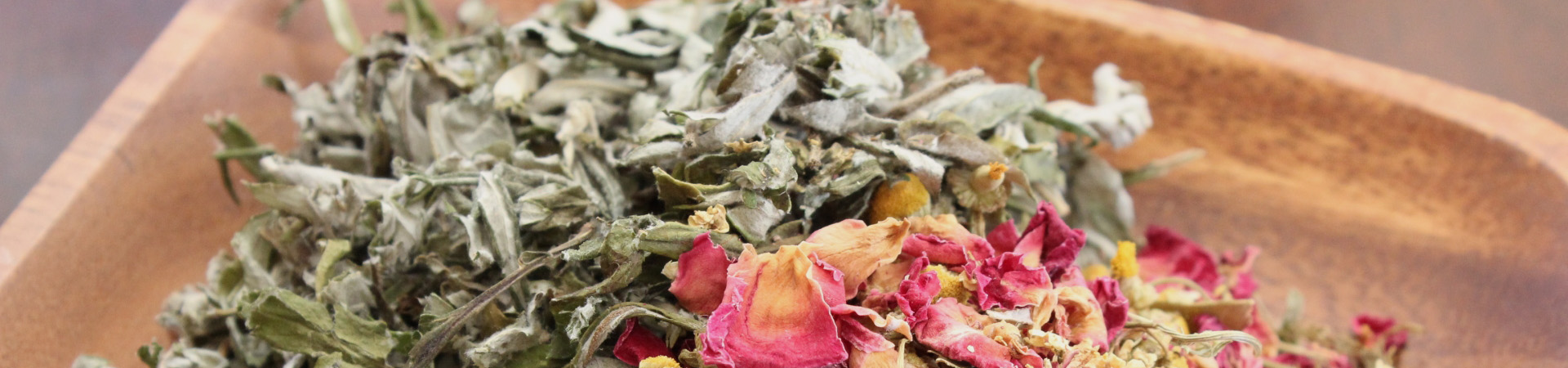 プライバシーポリシー